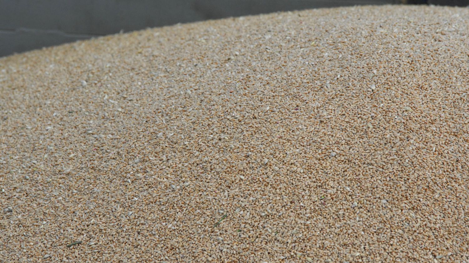 Песок оптом от производителя. Песок кварцевый 1к0315. Песок кварцевый ПБ-150-1. Песок кварцевый ЛПК-5. Песок кварцевый фракционированный 0,1-0,3 мм.